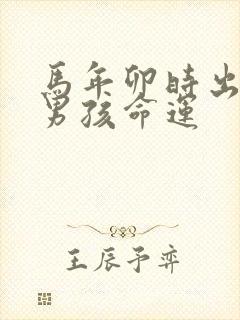 马年卯时出生的男孩命运