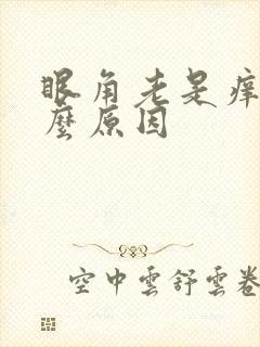 眼角老是痒是什么原因封面