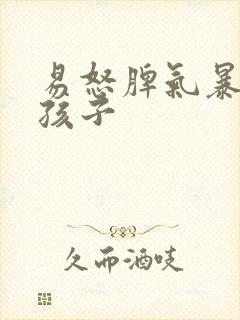 易怒脾气暴躁的孩子