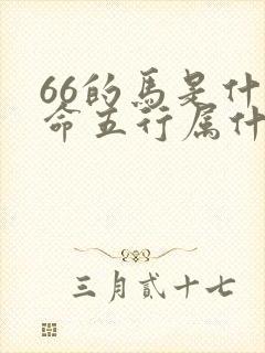 66的马是什么命五行属什么