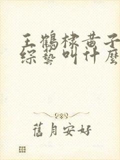 王鹤棣黄子韬新综艺叫什么