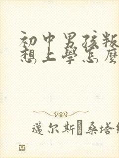 初中男孩叛逆不想上学怎么办封面