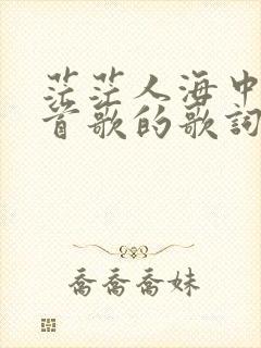 茫茫人海中是哪首歌的歌词封面