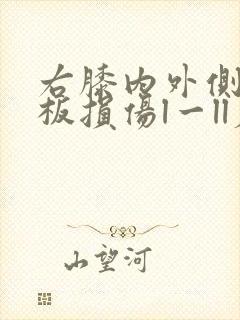 右膝内外侧半月板损伤l一ll度
