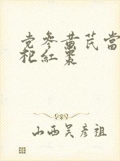 党参黄芪当归枸杞红枣封面