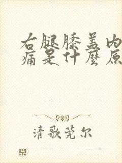 右腿膝盖内侧疼痛是什么原因引起的封面