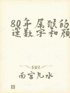 80年属猴的幸运数字和颜色