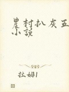 农村扒灰五十篇小说封面