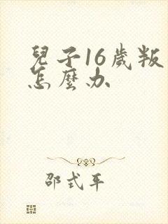 儿子16岁叛逆怎么办
