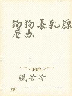 狗狗长乳腺瘤怎么办