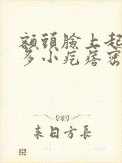 额头脸上起了好多小疙瘩密密麻麻的