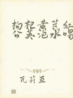 枸杞黄芪红枣蒲公英泡水喝的功效及作用