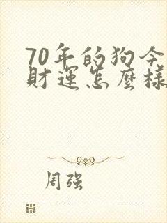 70年的狗今年财运怎么样