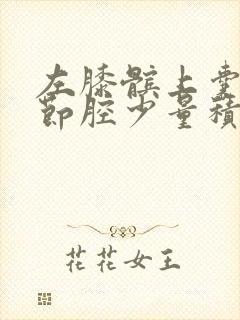 左膝髌上囊及关节腔少量积液