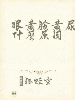 眼黄脸黄尿黄是什么原因