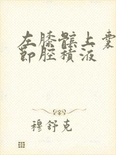 左膝髌上囊及关节腔积液