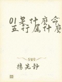 01是什么命 五行属什么