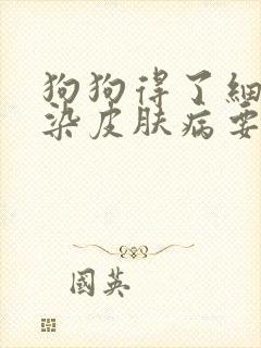 狗狗得了细菌感染皮肤病要怎么治