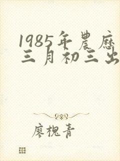 1985年农历三月初三出生的女人是什么命