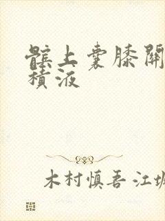 髌上囊膝关节腔积液