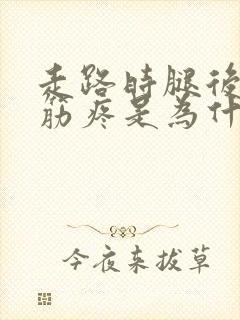 走路时腿后面的筋疼是为什么?