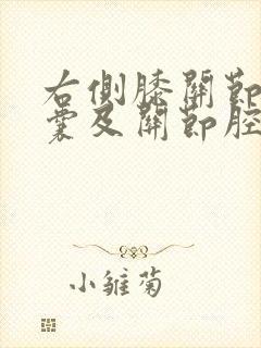 右侧膝关节髌上囊及关节腔少量积液