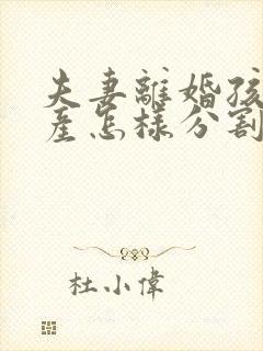 夫妻离婚孩子财产怎样分割问律师