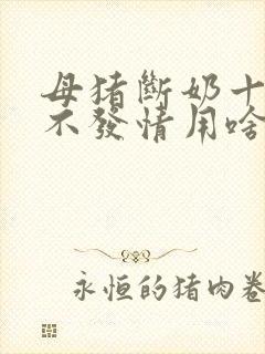 母猪断奶十多天不发情用啥土办法咋办