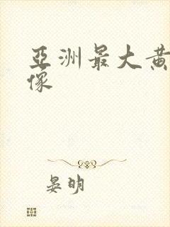 亚洲最大黄色录像