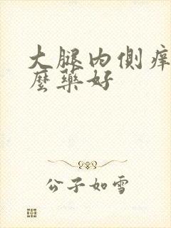 大腿内侧痒擦什么药好