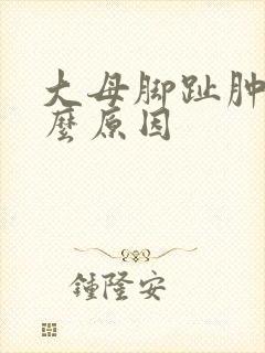 大母脚趾肿痛什么原因