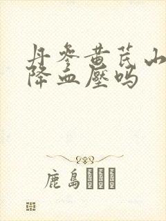 丹参黄芪山楂能降血压吗