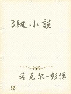 3级小说