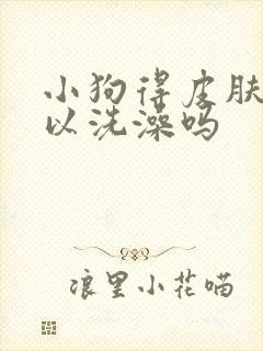 小狗得皮肤病可以洗澡吗