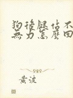 狗后腿站不稳且无力怎么回事