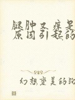 腿肿又痒是什么原因引起的