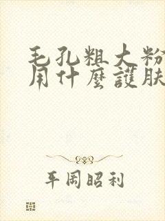 毛孔粗大粉刺多用什么护肤品