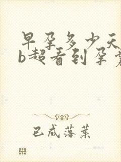 早孕多少天可以b超看到孕囊