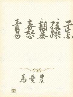 青春期孩子脾气易怒暴躁怎么办