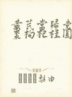 黄芪当归党参红枣枸杞桂圆泡水喝的功效