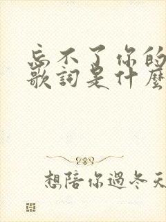 忘不了你的模样歌词是什么歌