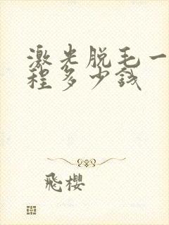 激光脱毛一个疗程多少钱