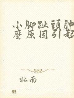 小脚趾头肿痛什么原因引起的