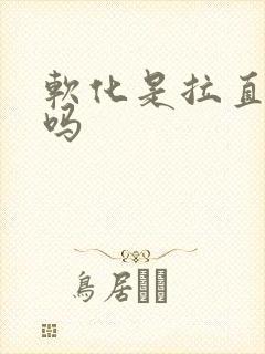软化是拉直头发吗封面