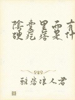 阴囊里面有个小硬疙瘩是什么