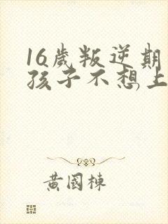 16岁叛逆期的孩子不想上学怎么办