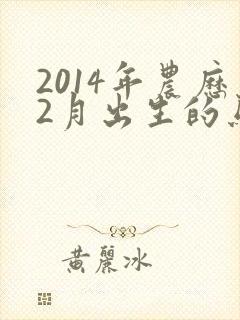 2014年农历2月出生的马命运