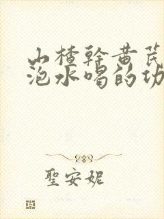 山楂干黄芪丹参泡水喝的功效
