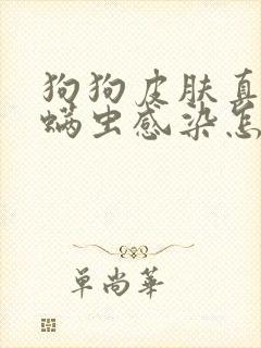 狗狗皮肤真菌和螨虫感染怎么治疗封面