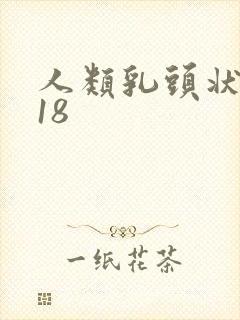 人类乳头状病毒18
